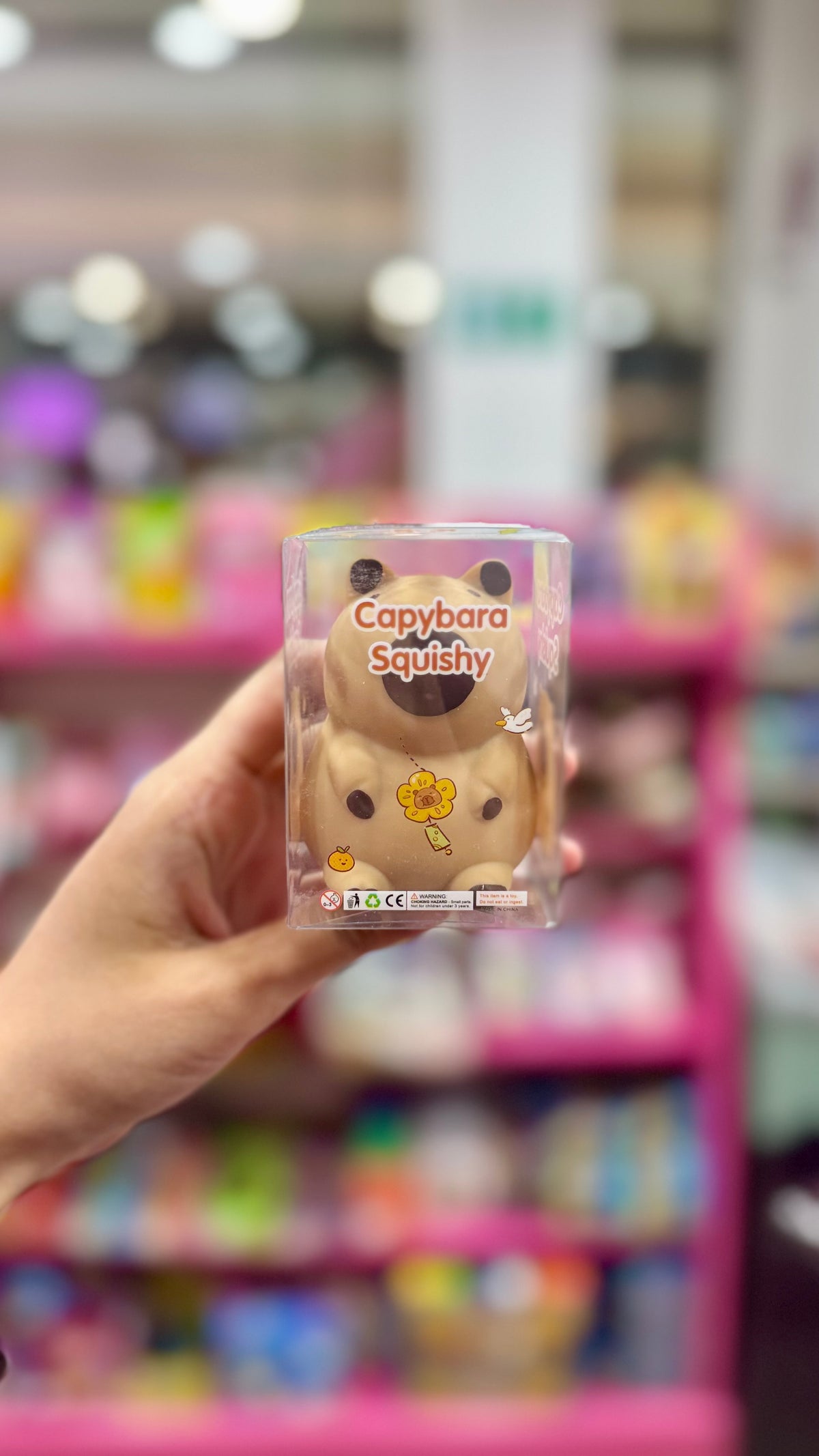 Crunchy Capybara Squishy